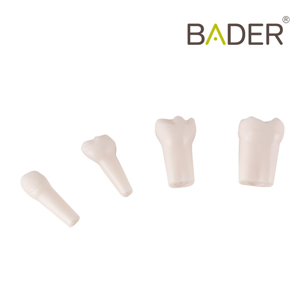 Set of 24 Replacement Teeth type AK-6 Child Bader