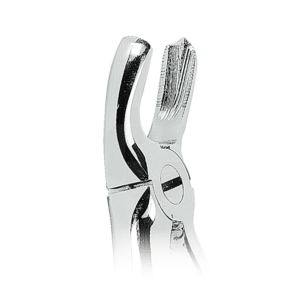 Extraction forceps