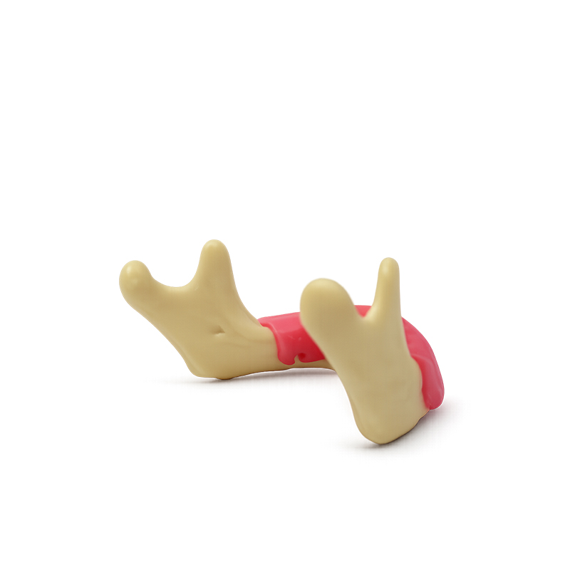 Lower Jaw with Gum for Surgical Practice Bader