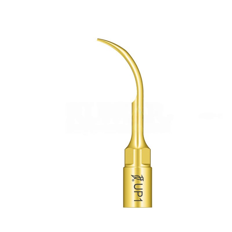 Woodpecker UP1 surgical tip for Mectron (Surgery), Woodpecker Surgic Touch, Ultrasurgery and others | Perio