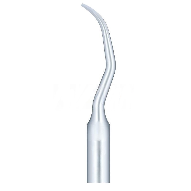 Woodpecker GD10 Ultrasonic Tip Compatible Satelec | Prophylaxis