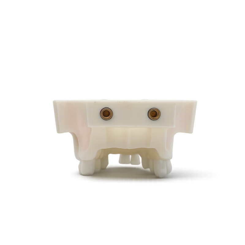 Bader Typodont for Maxillary Sinus Lift Practice in Implants with Zygomatic Bone