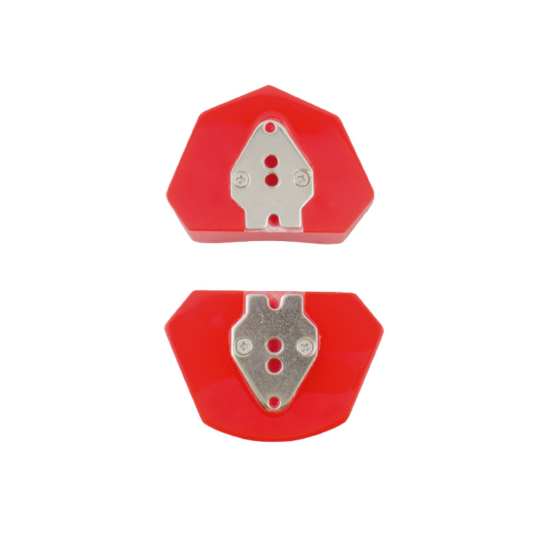 Edentulous model with plate Bader