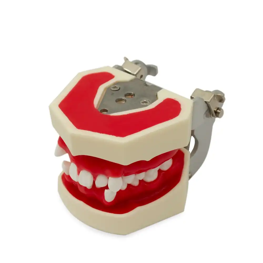 Tipodonto Cemented and Biomedical Orthodontics Bader