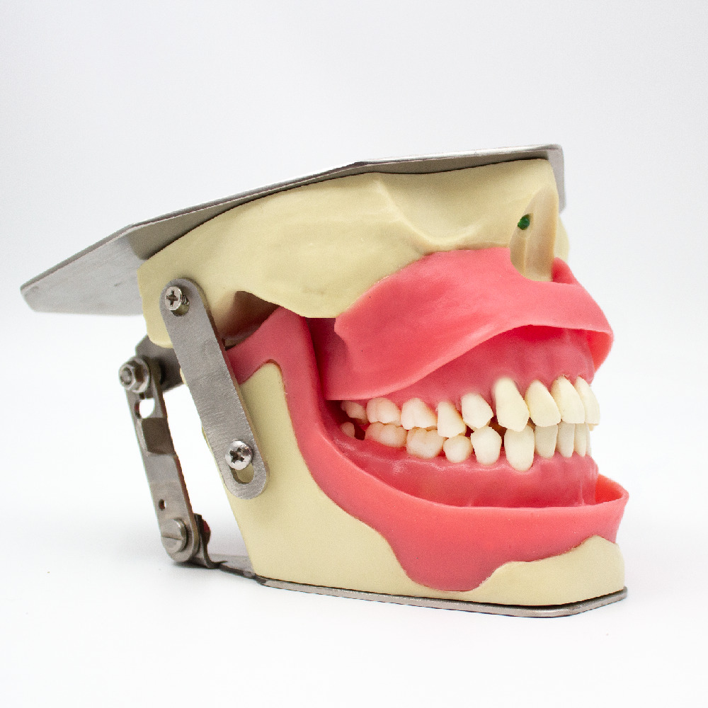 Dental Anesthesia Simulator Bader