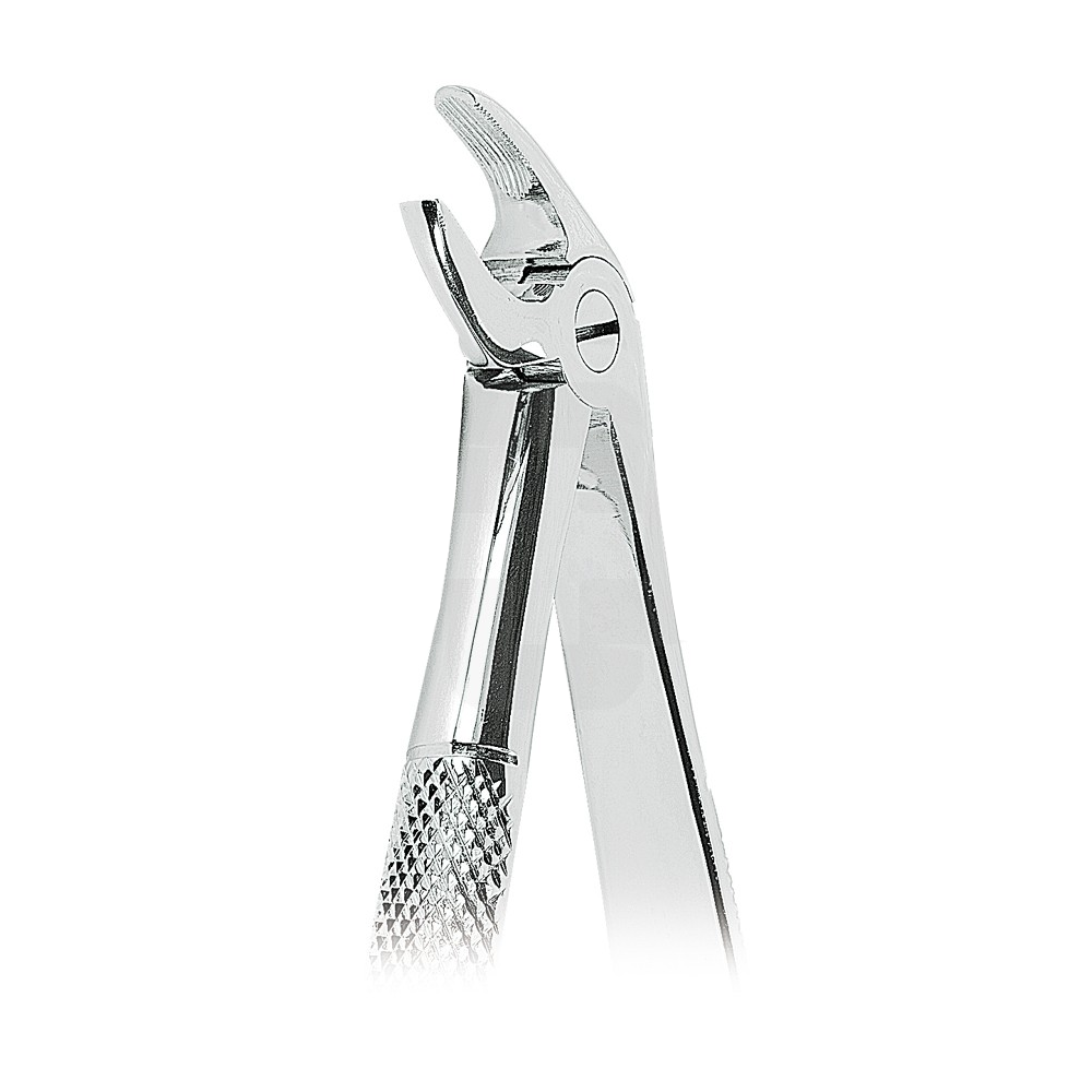 Button for lower canines (0100-169)