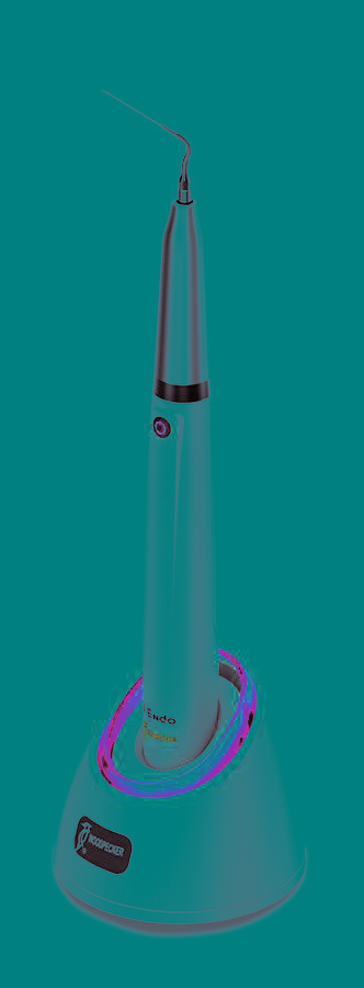 Endo 1