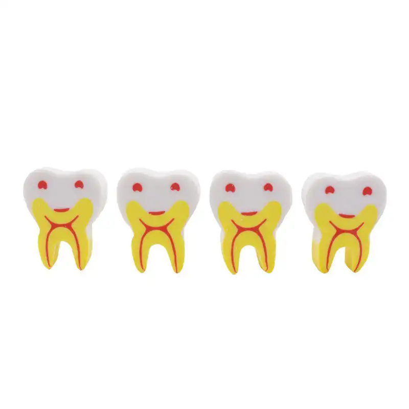 Molar Eraser Bader