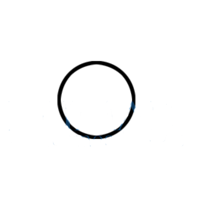 O-ring for connection of KaVo and MK-dent turbine bodies – SP0414