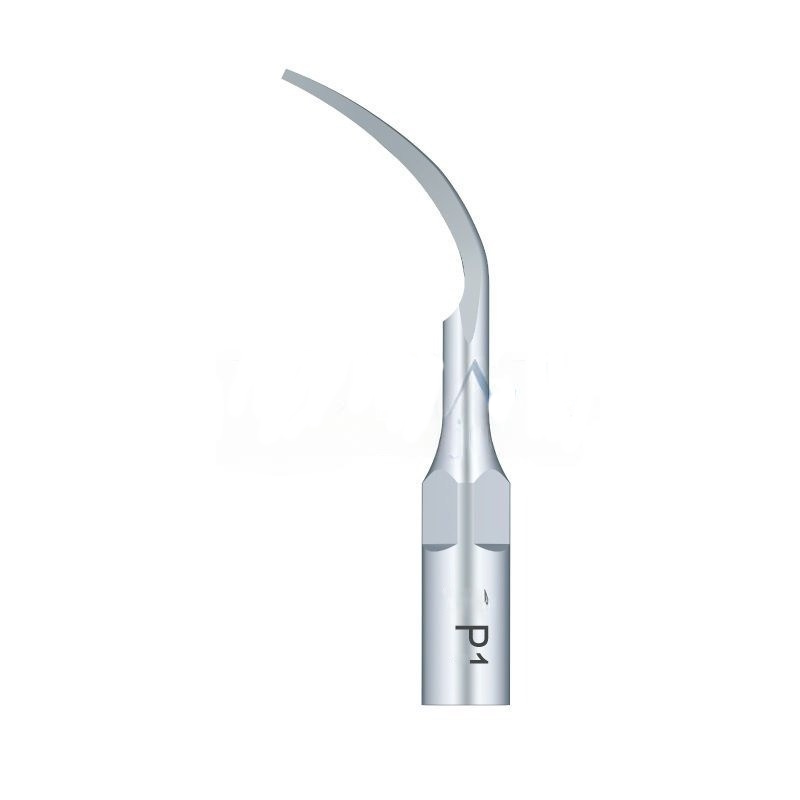 Woodpecker P1 Ultrasonic Tip EMS Compatible | Perio