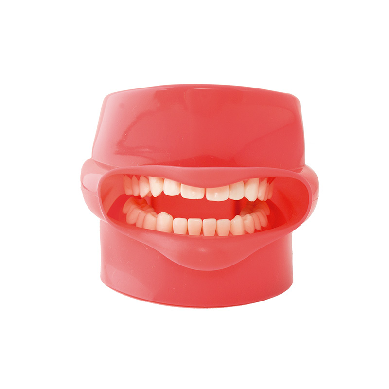 Phantom Practice Model with Mouth Bader