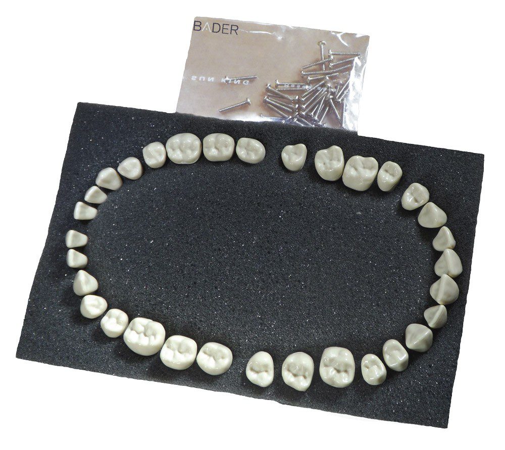 Replacement Teeth Type AG3 Bader