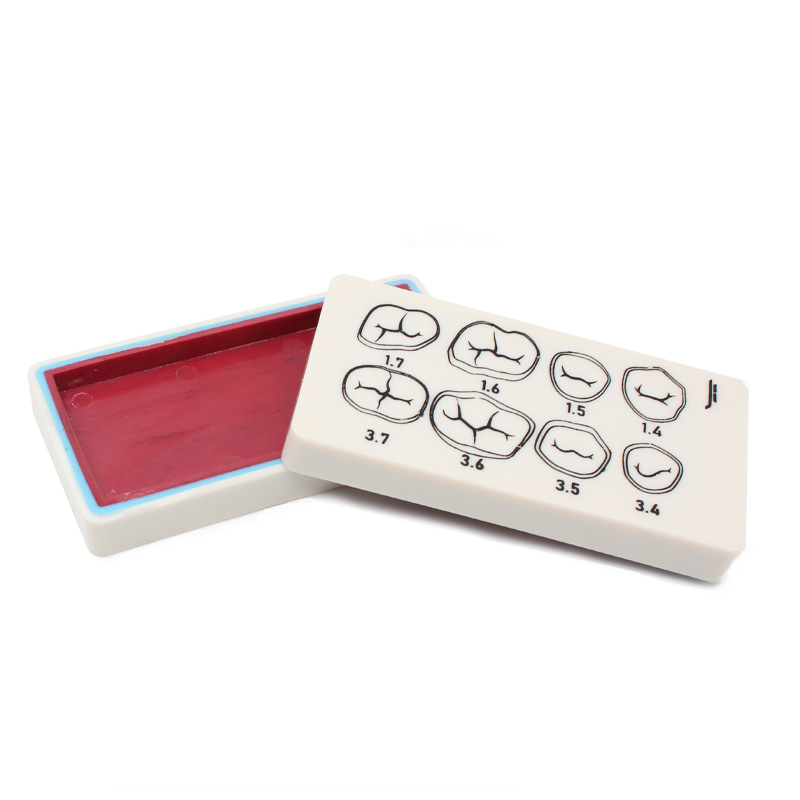 Bader dental preparation plate