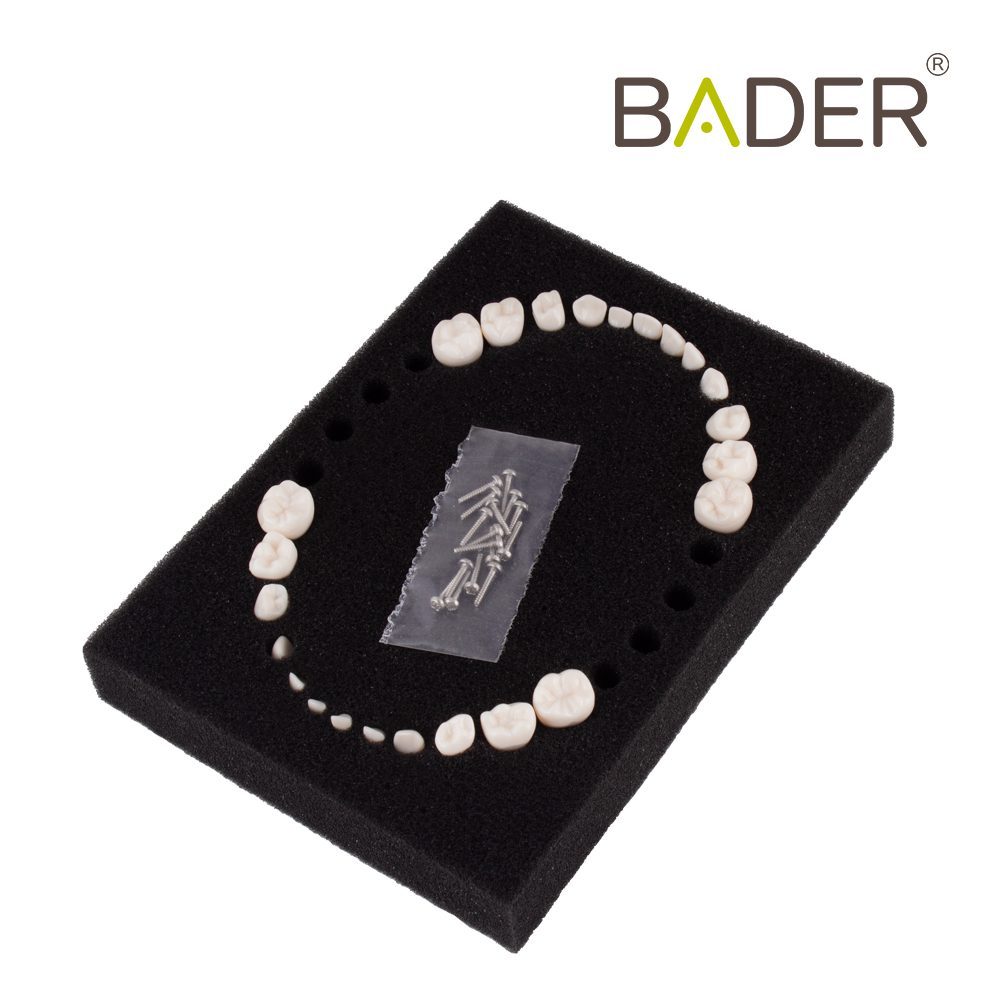 Set of 24 Replacement Teeth type AK-6 Child Bader