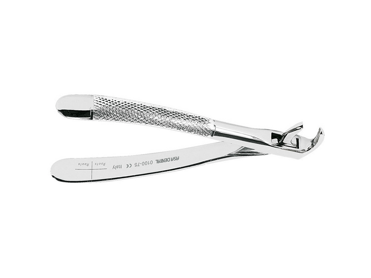 Button for lower canine and premolar (0100-75)