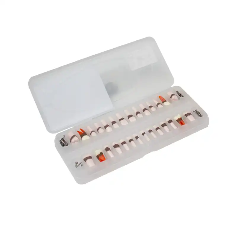 Bader Periodontics Typodont Teeth Replacement