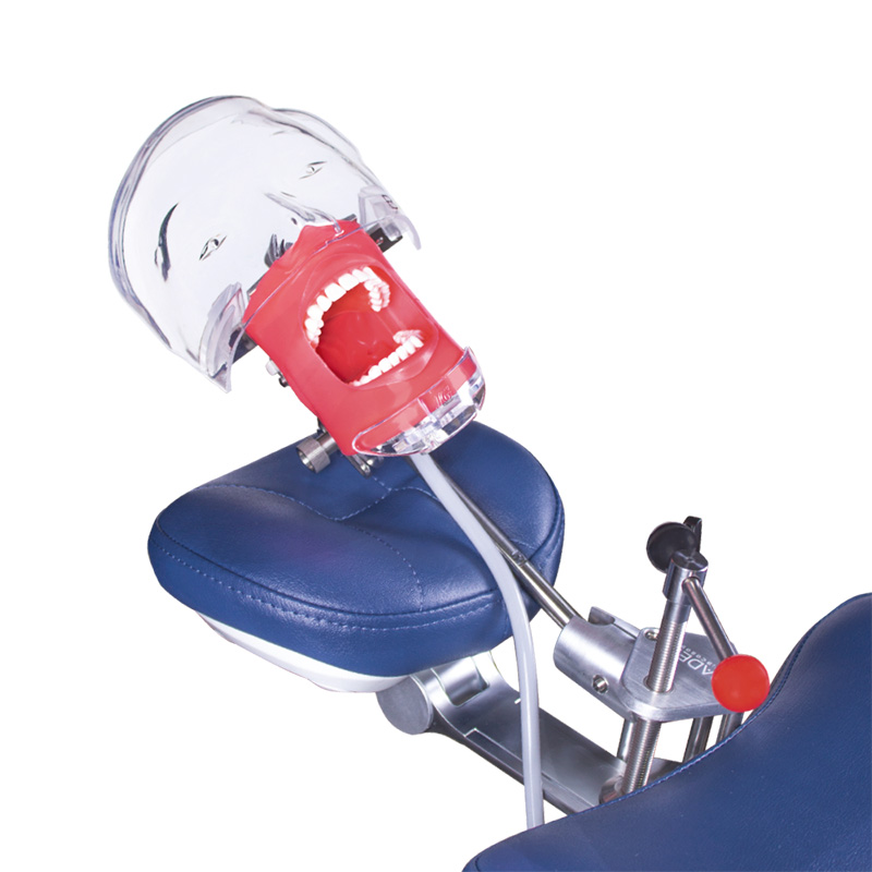 Simplicity Bader Complete Phantom with Chair Anchor
