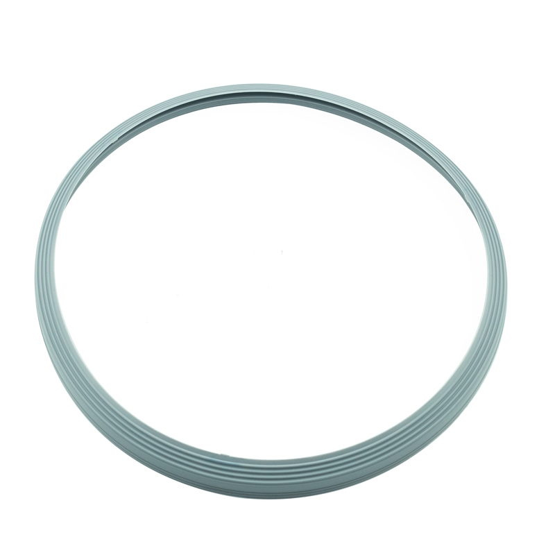 FARO NISEA autoclave door seal (Ref. FARO SP750067)