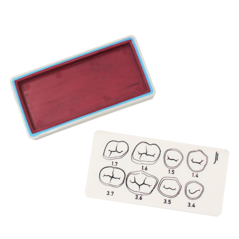 Bader dental preparation plate