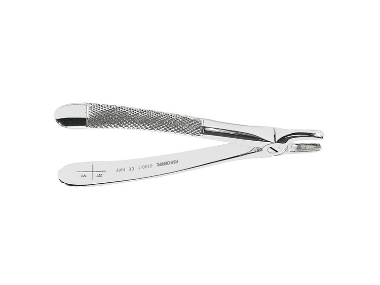 Button for upper incisors and canines (0100-1)