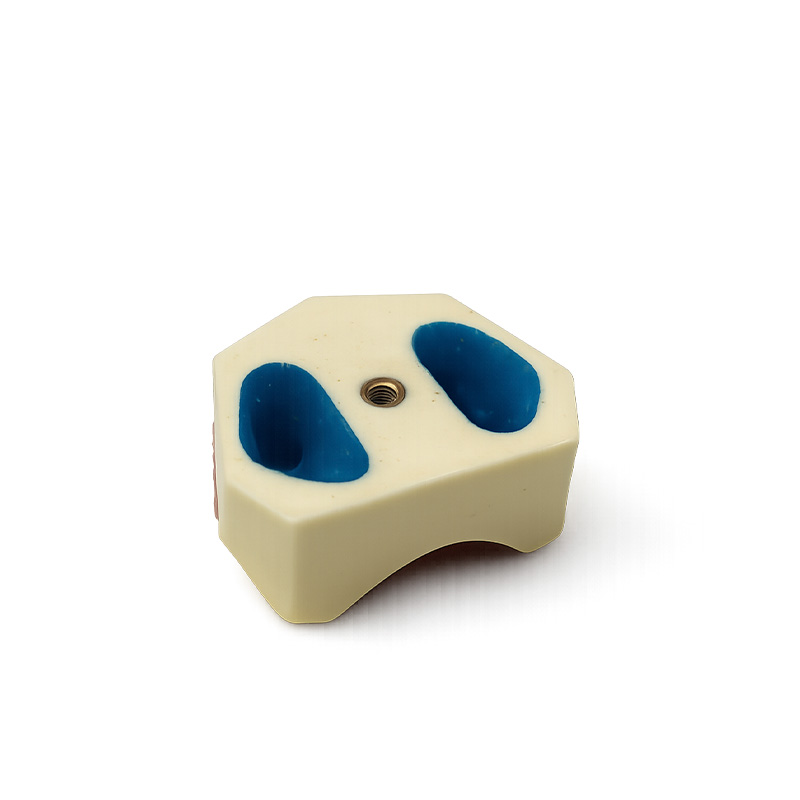 Upper Maxillary Typodont for Sinus Lift Practice Implant and Suture Bader