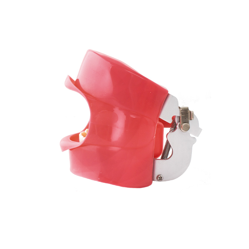 Phantom Practice Model with Mouth Bader