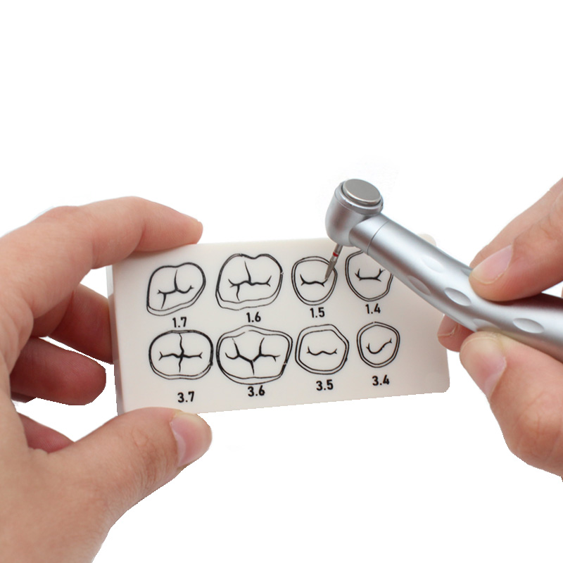 Bader dental preparation plate