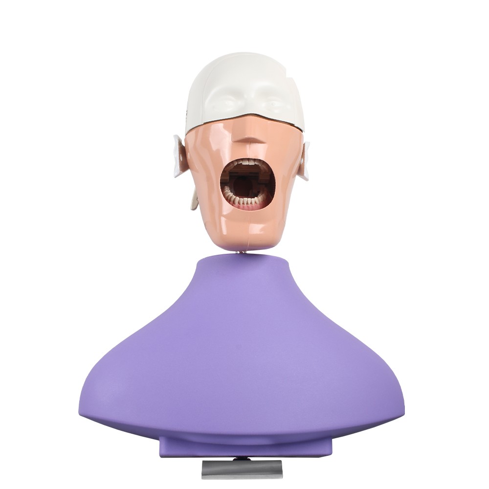 Practice Manikin with Table Anchor Bader