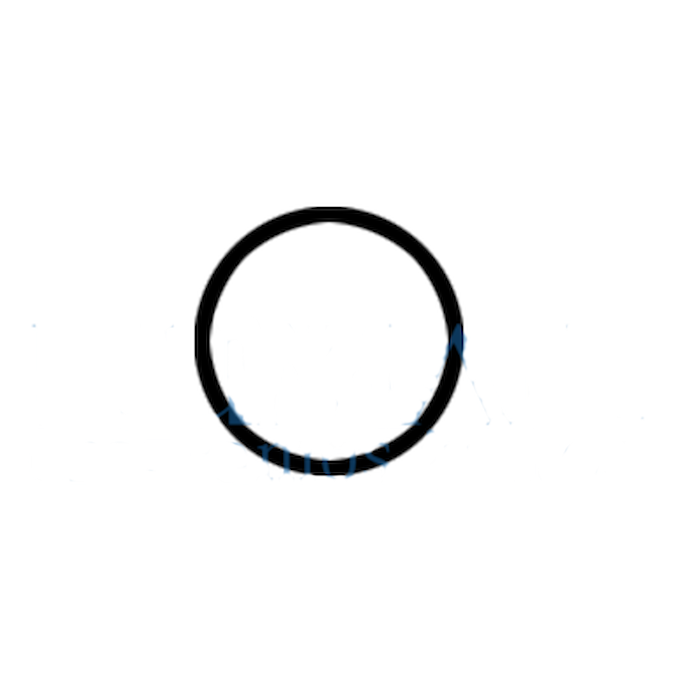 O-ring for internal connector of KaVo and MK-dent turbines – SP0419