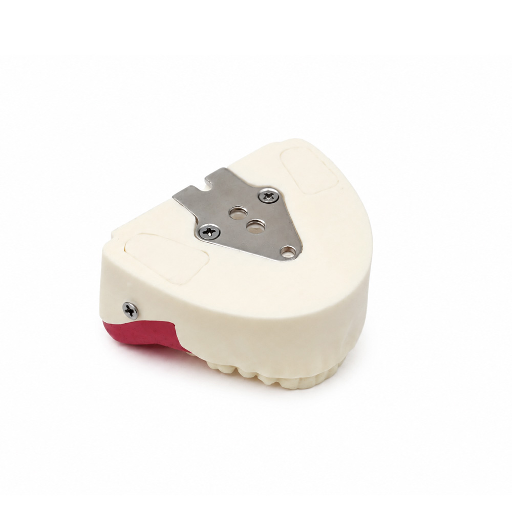Model of Extraction of Retained and Semi-Retained Teeth Bader