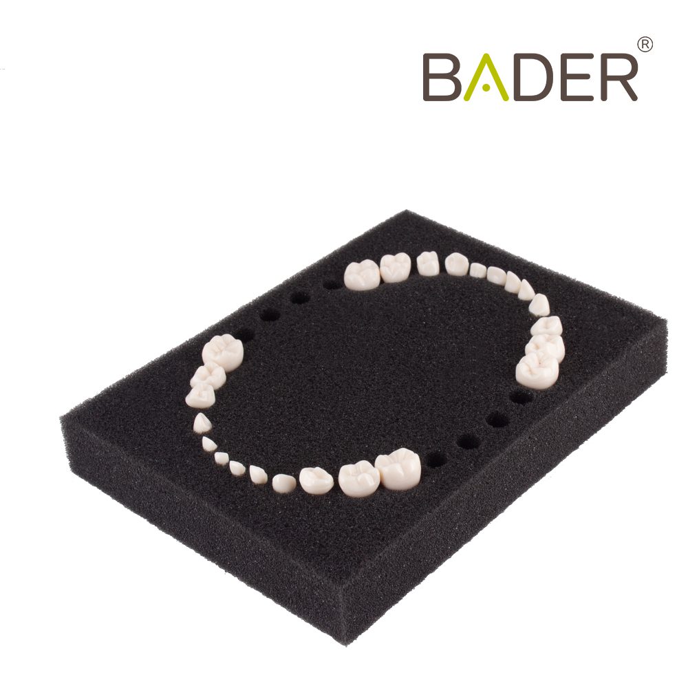 Set of 24 Replacement Teeth type AK-6 Child Bader
