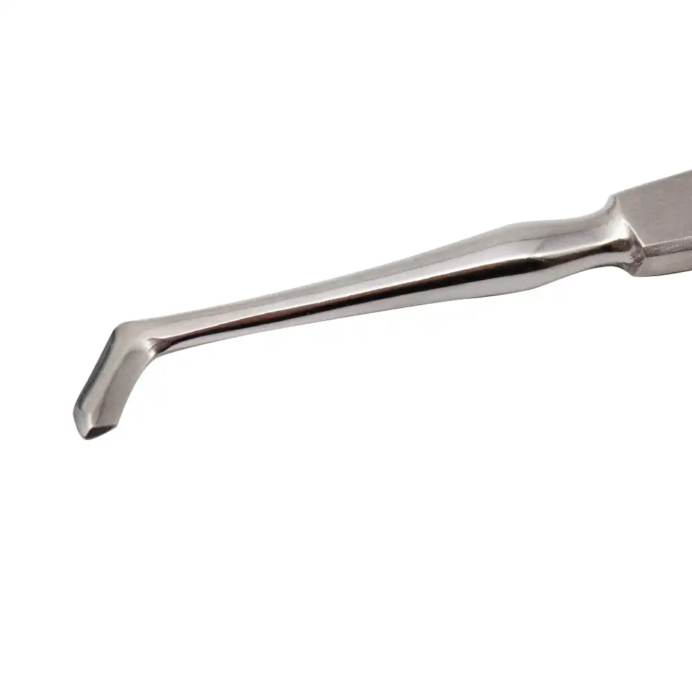 Sindesmotomo Chompret Fig.2 Bader