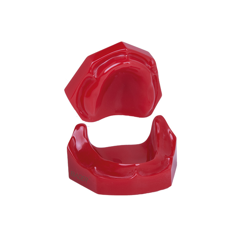 Edentulous model with plate Bader