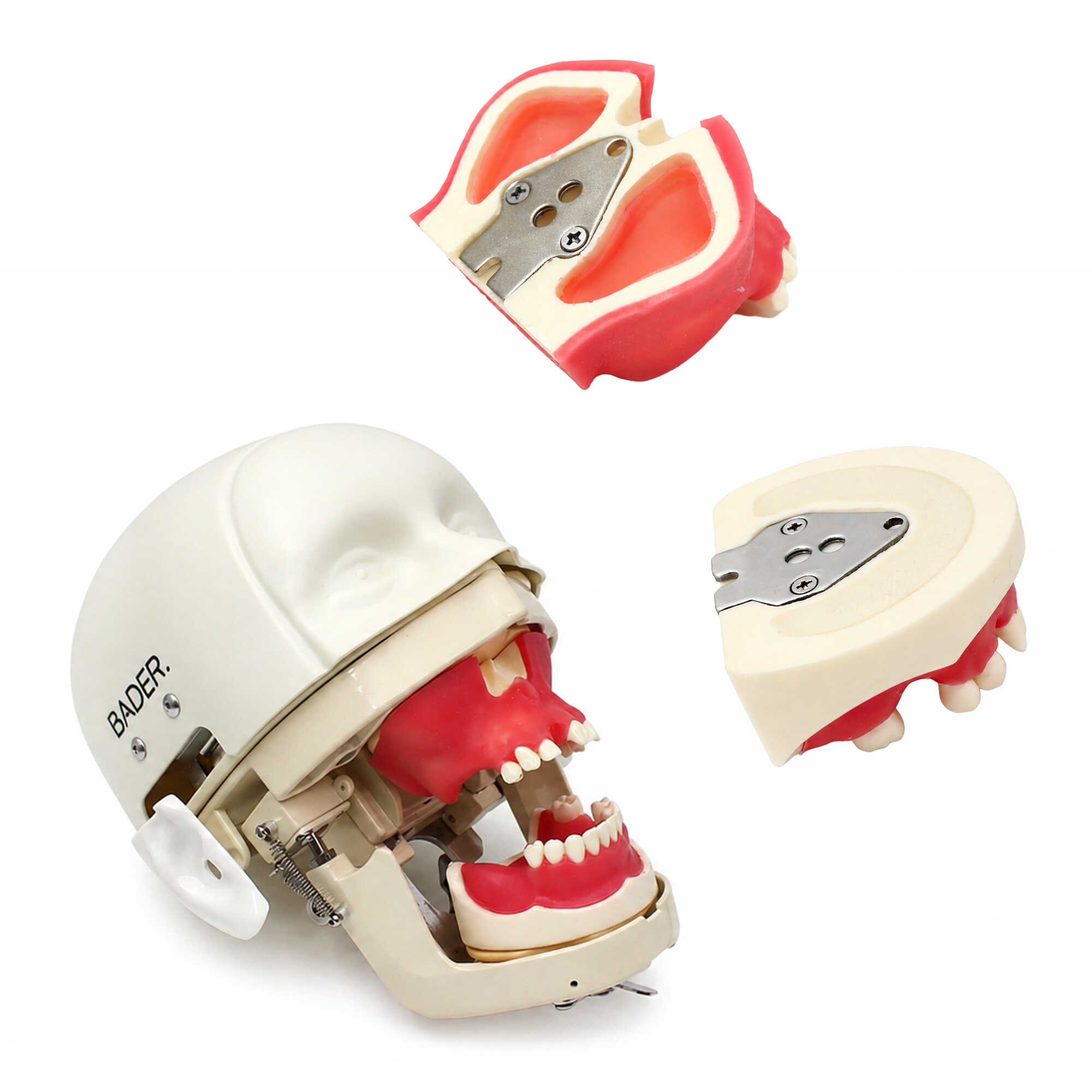 Kim Phantom for Bone Regeneration Practice