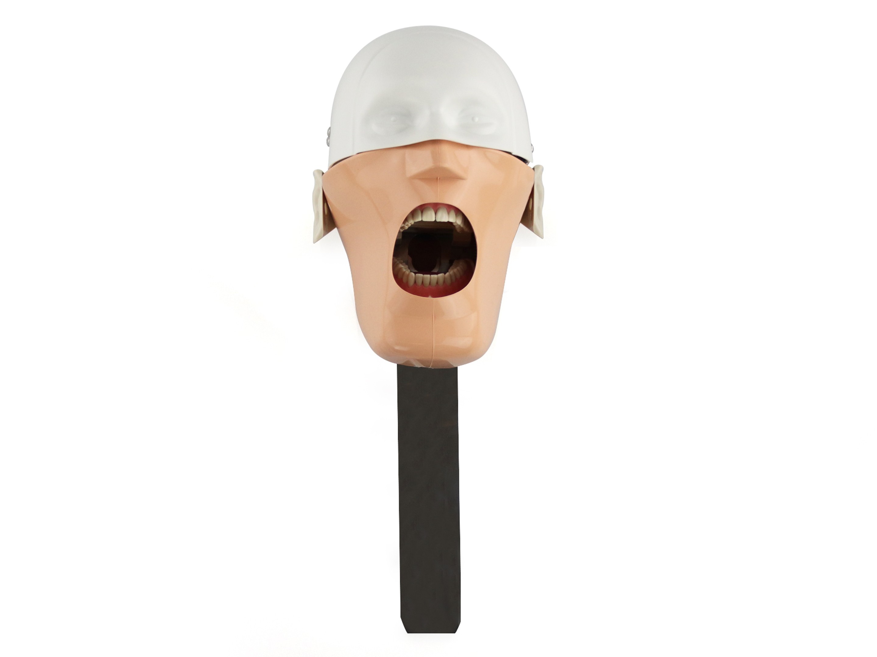 PHANTOM STUDY MODEL JG-C3 WITH BAR TO EQUIPMENT HEADREST