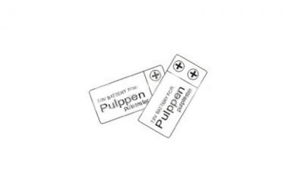 PULPPEN DP2000 battery