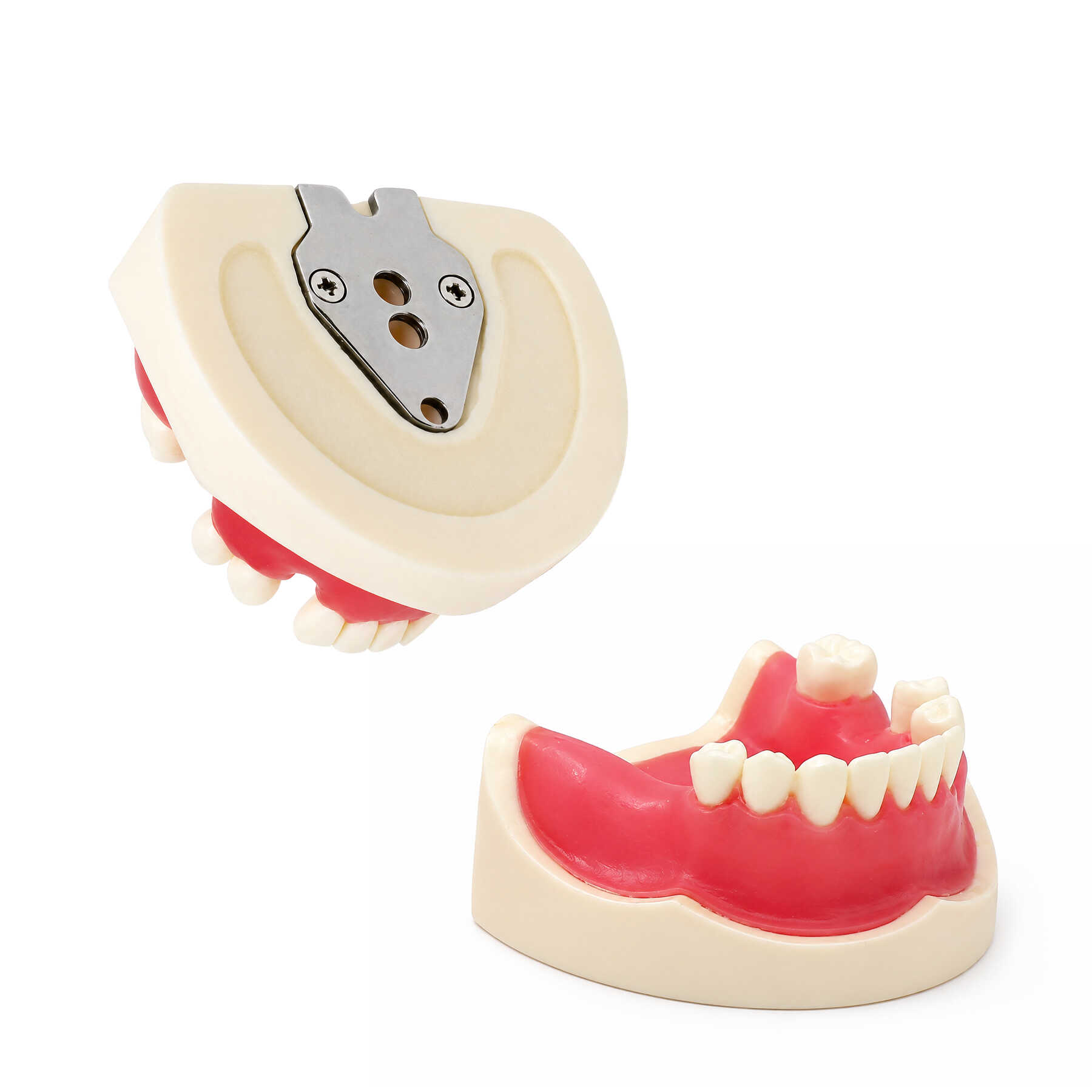 Kim Phantom for Bone Regeneration Practice