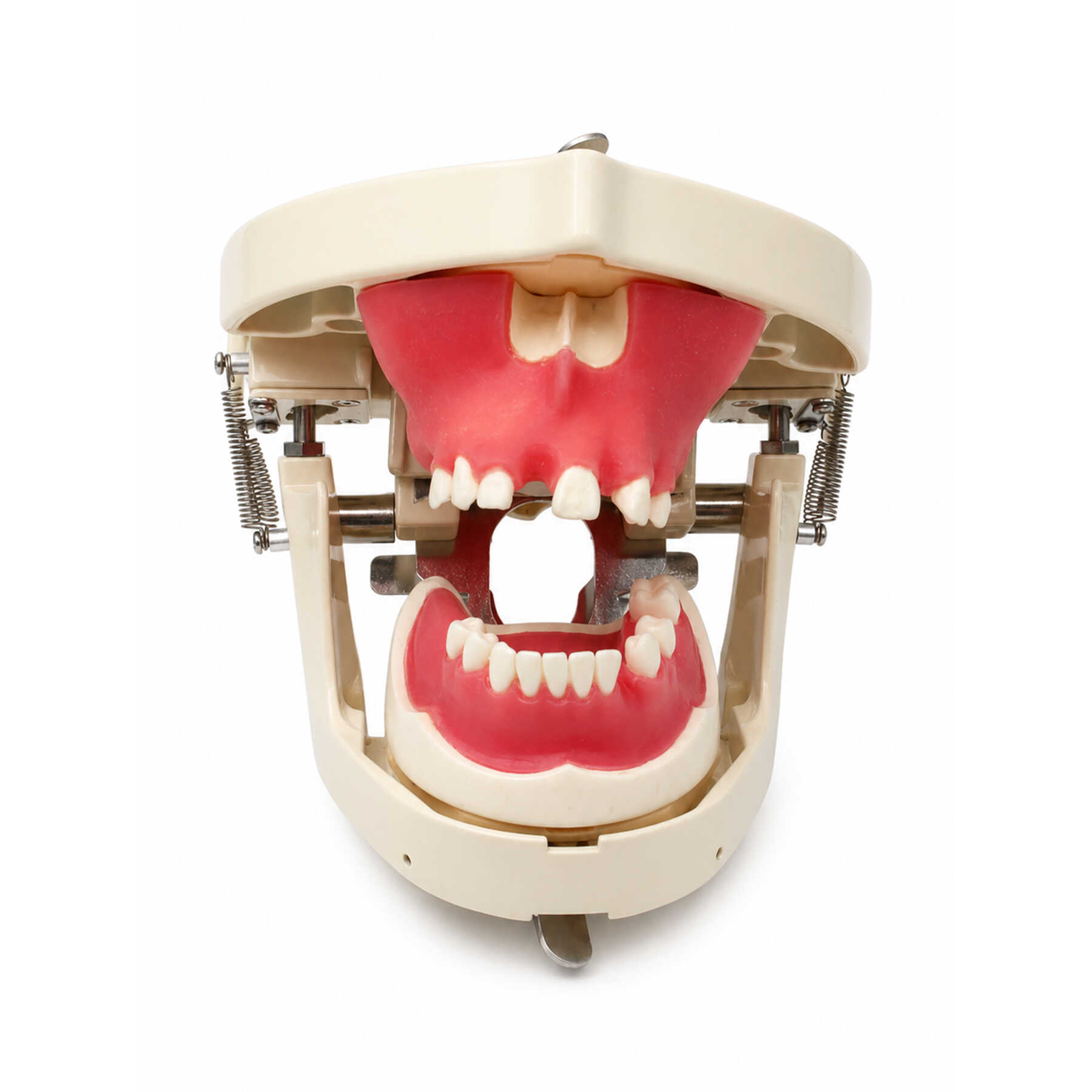 Kim Phantom for Bone Regeneration Practice