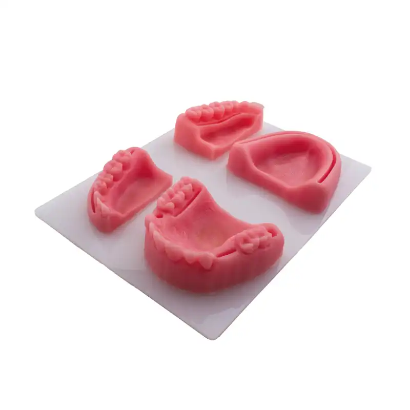 Bader Silicone Suture Practice Model