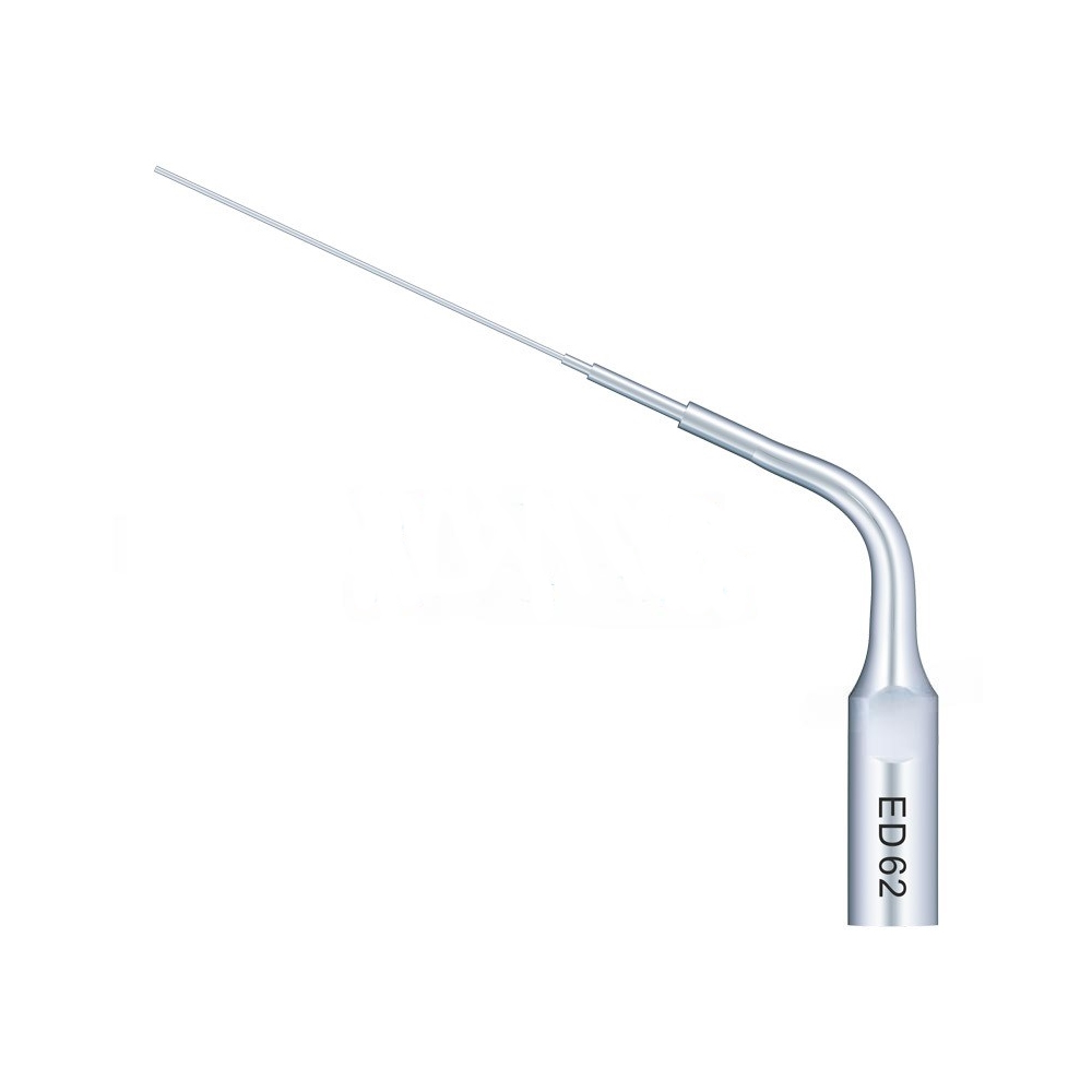 Ultrasonic Tip Woodpecker Ed62 Compatible Satelec | Endo